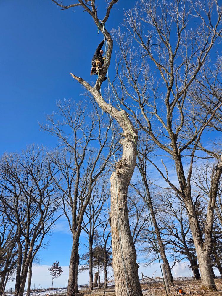 All Photos for Minnesota Seasonal LLC in Corcoran, MN