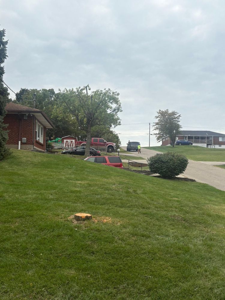 All Photos for Dig-It Tree Company in Mason, OH