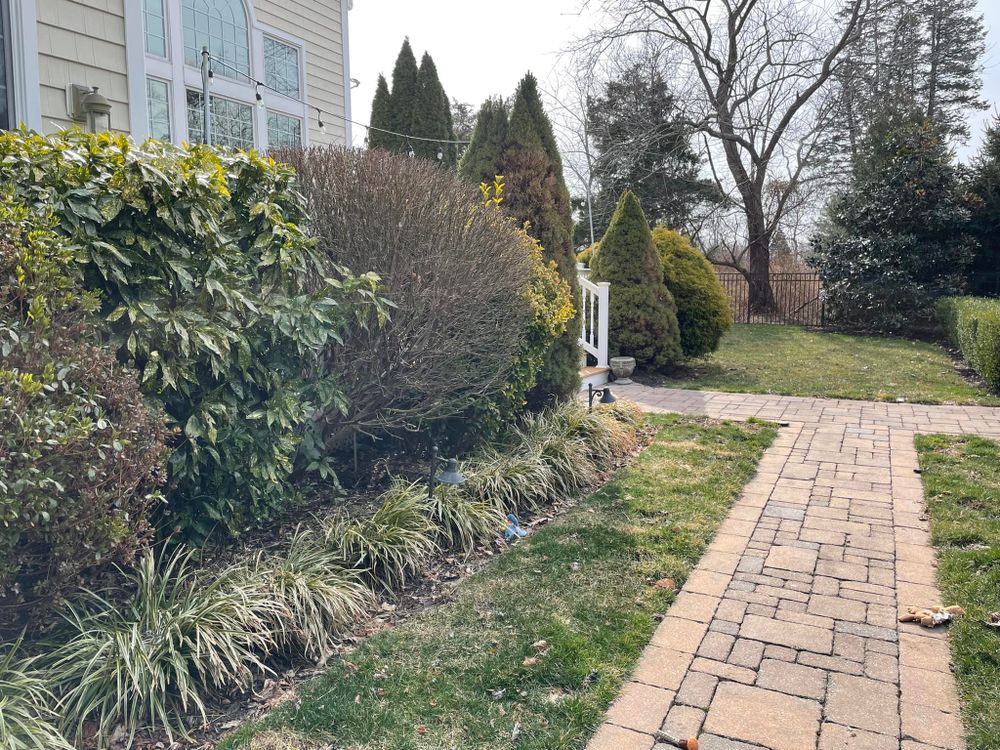 Landscaping for S&G Landscape & Property Maintenance LLC in Bradley Beach, NJ