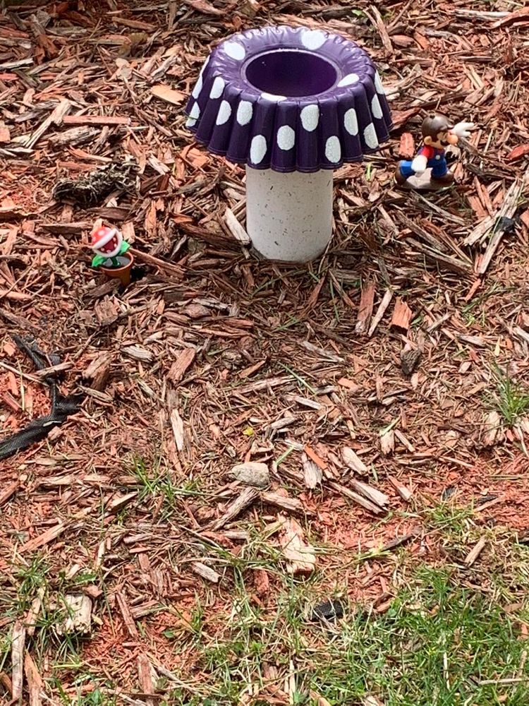 All Photos for R and R Landcare in Birch Run, MI