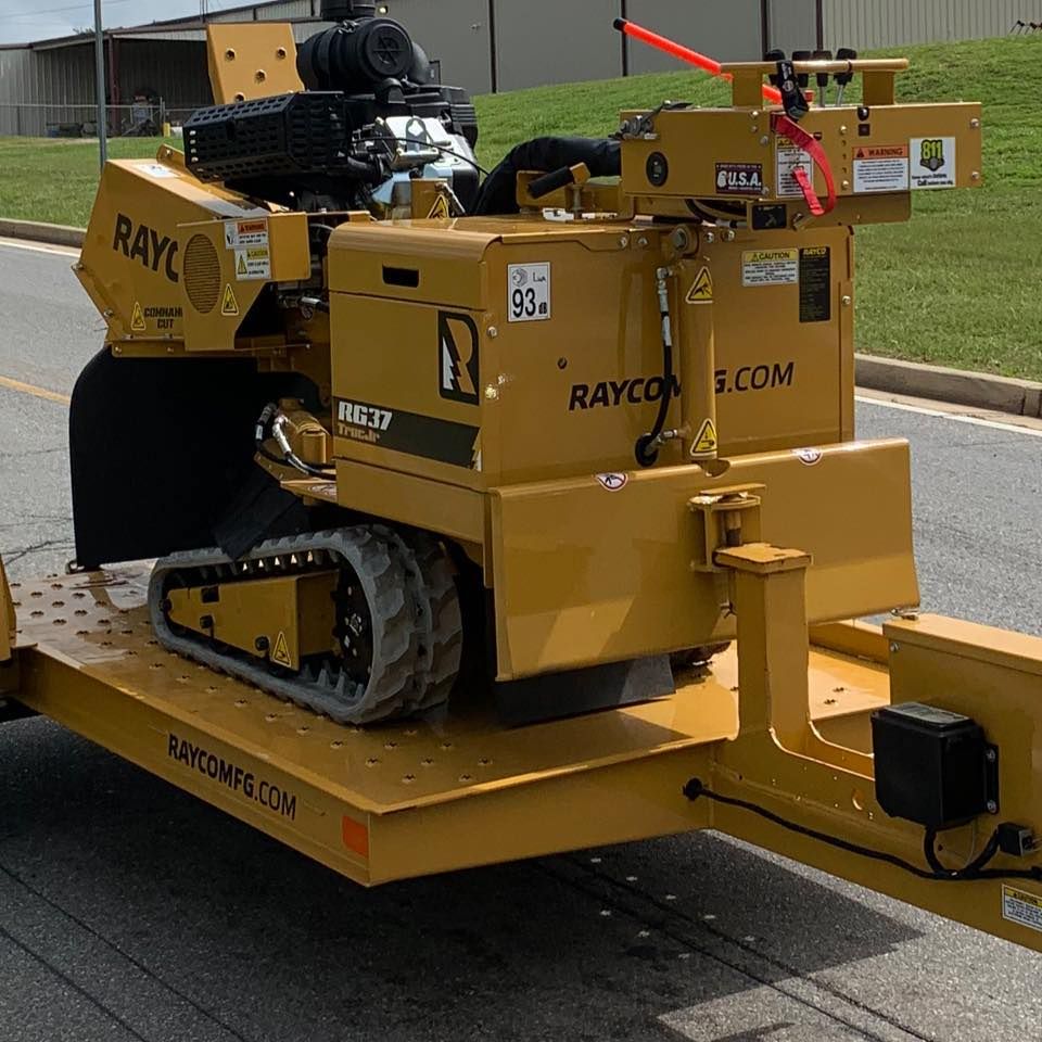 Tree Removal for Alford’s Tree and Stump Services LLC in Lake City, FL