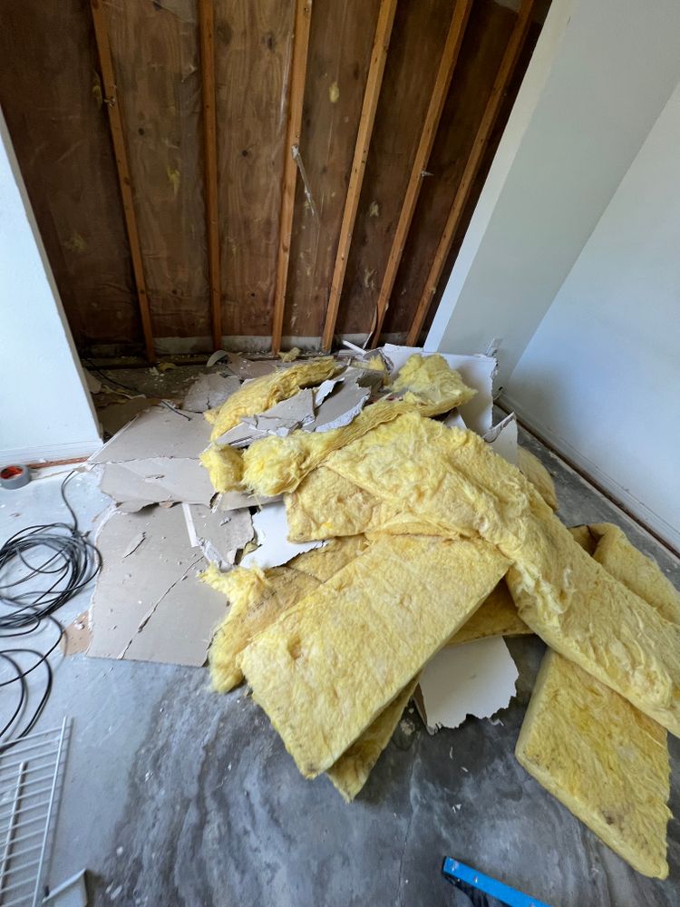 Mold Remediation for N&D Restoration Services When Disaster Attacks, We Come In in Cape Coral,  FL