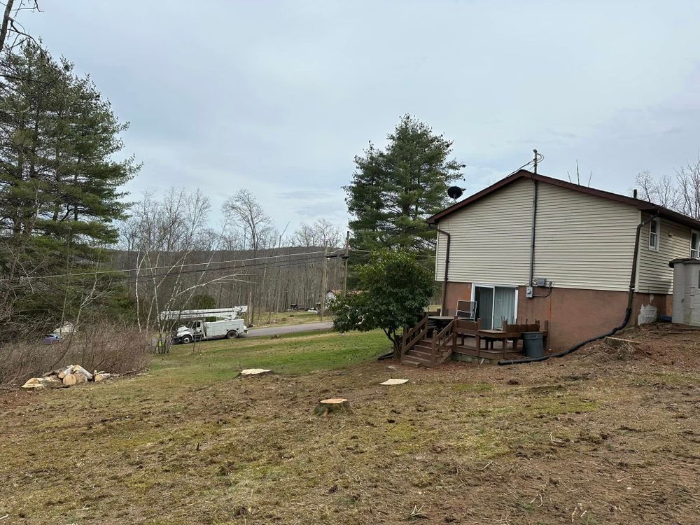 All Photos for All American Tree Services LLC in Dallas, PA