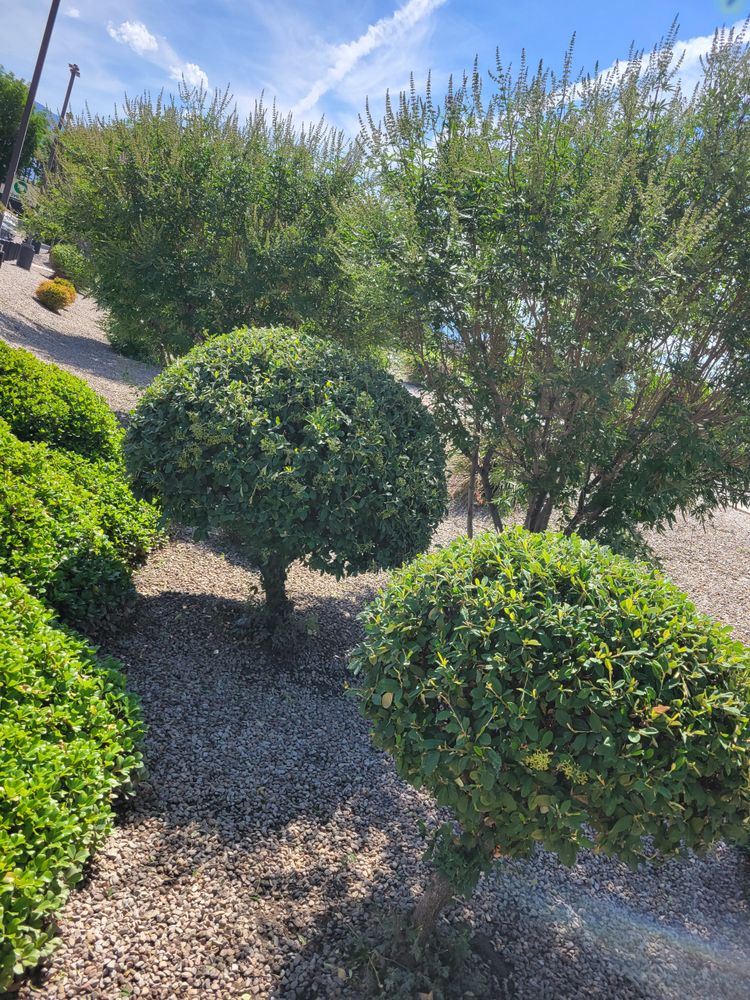 All Photos for 2 Brothers Landscaping in Albuquerque, NM