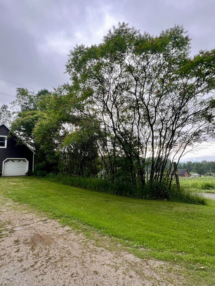 All Photos for Bishop’s Property Maintenance in Franklin, VT