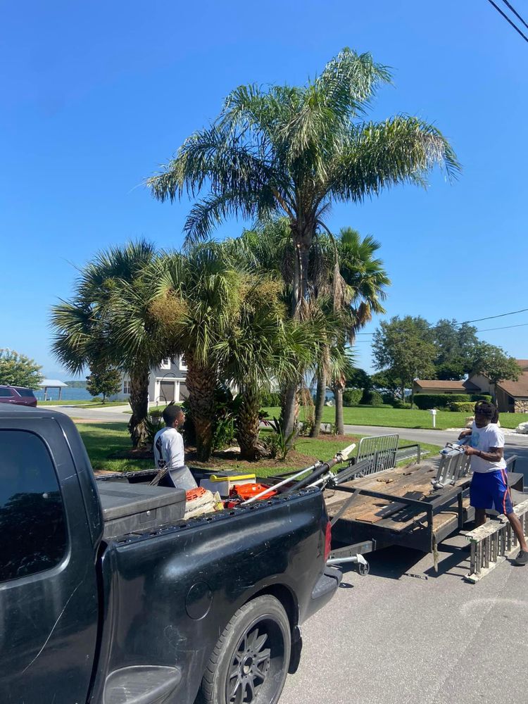 Fall and Spring Clean Up for Efficient and Reliable Tree Service in Lake Wales, FL