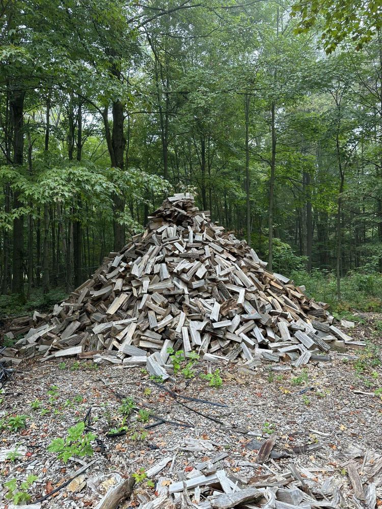 All Photos for Sterlings Tree Removal in Cobleskill, New York