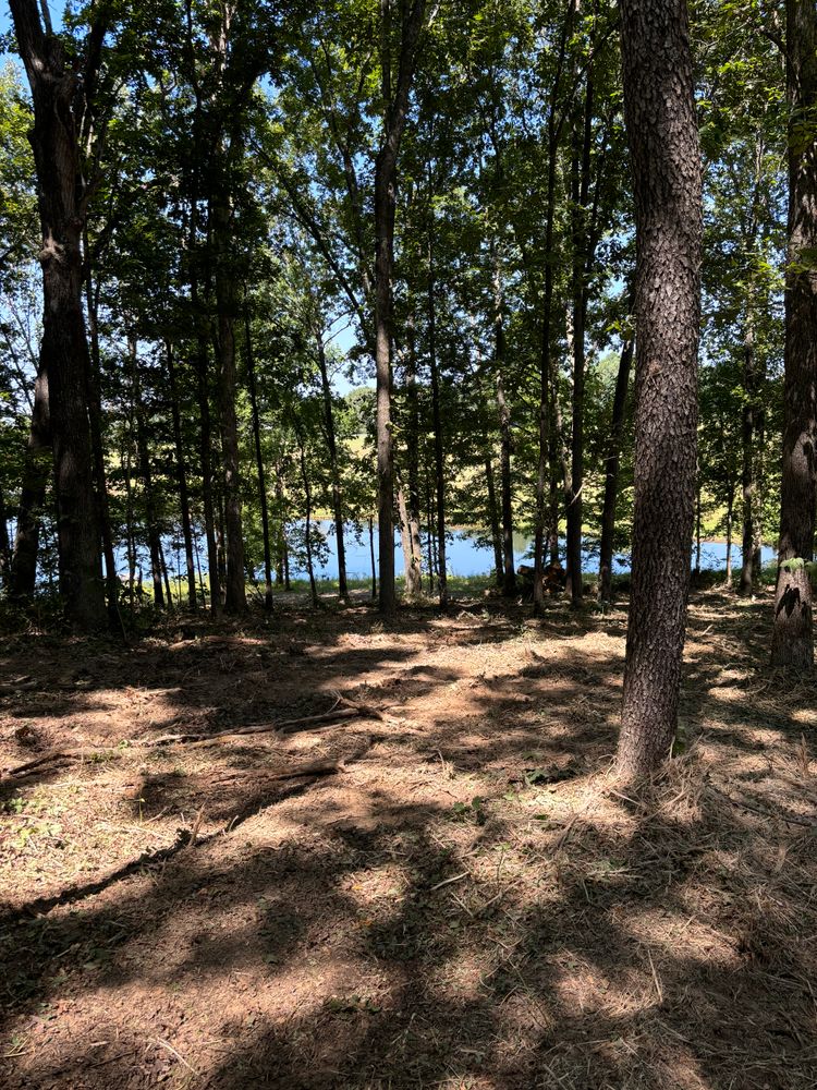 All Photos for Gregory Grass and Lawn in Lafayette, TN