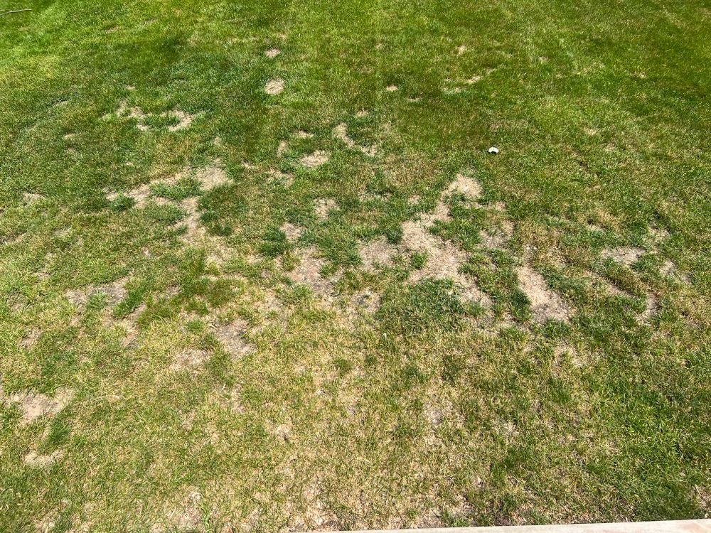All Photos for Phillips Lawn Services in Ravenna, MI