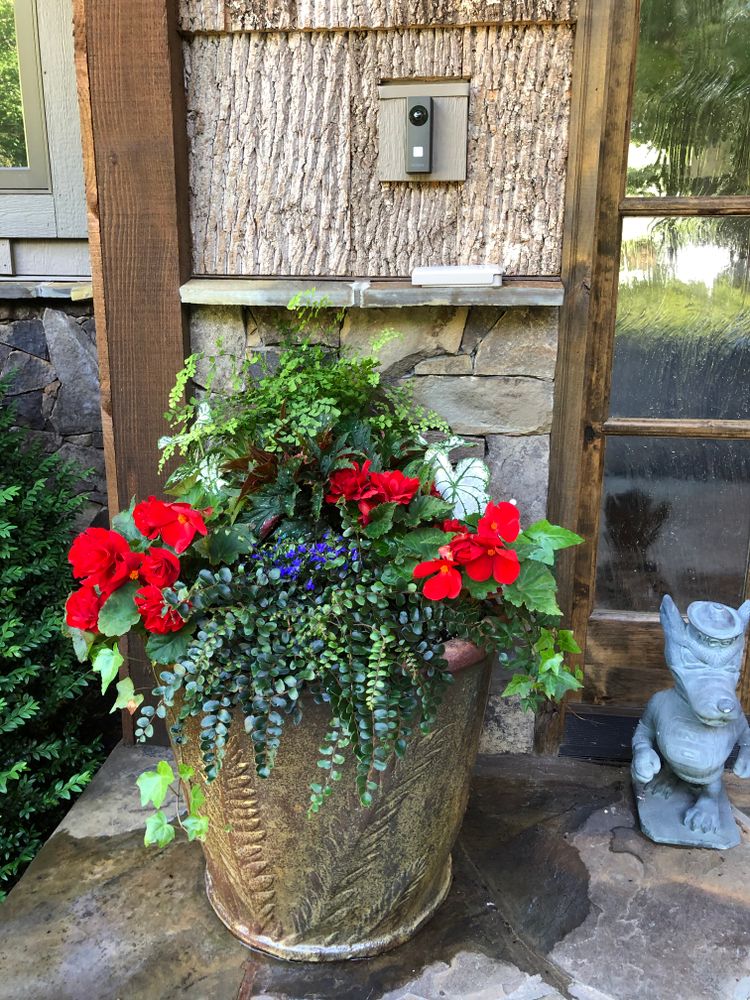 Container Gardening for Sustainable Lawn and Landscape in Banner Elk, NC