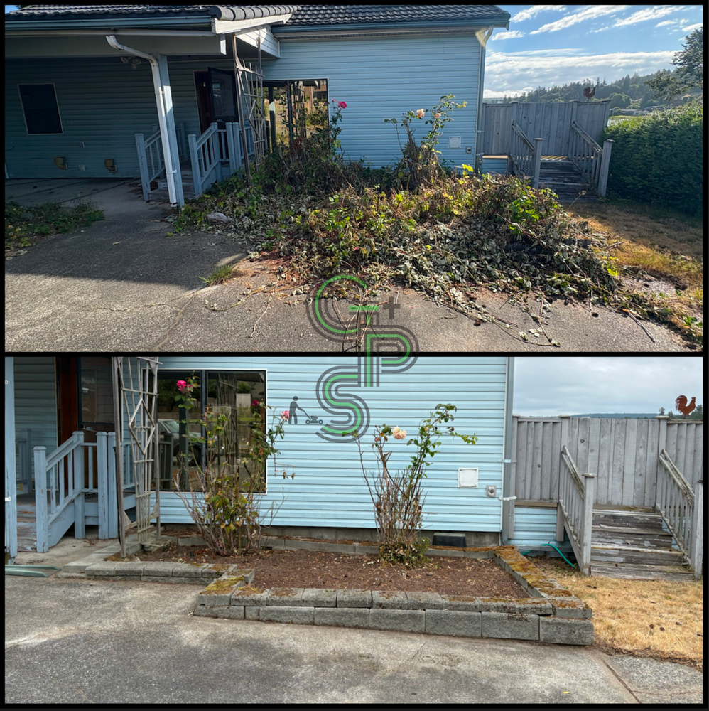 Fall Clean Up for Golovin Property Services LLC in Marysville, WA