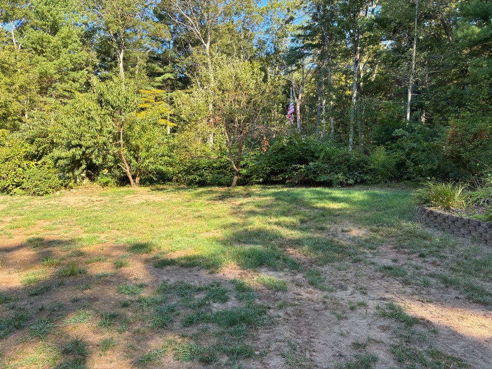 All Photos for Triple C’s Excavation in Ashford, CT