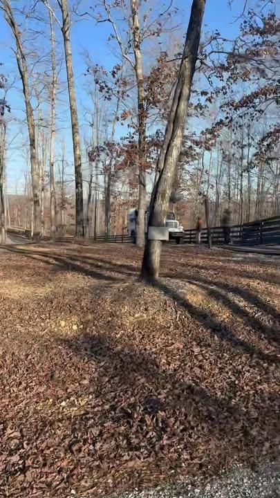 All Photos for Ross Family Tree Service LLC  in Hohenwald, TN