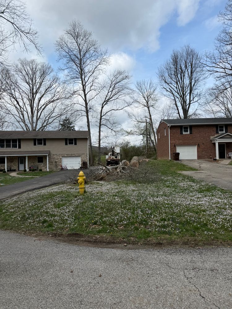 All Photos for Kadin’s Tree Service in North Vernon, IN