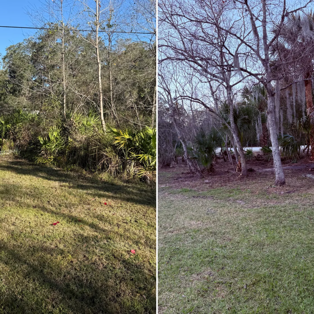 All Photos for Amerigrown Tree And Lawn in Apopka, FL