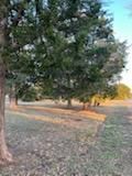 All Photos for Oviedo Land & Garden in Bastrop, TX