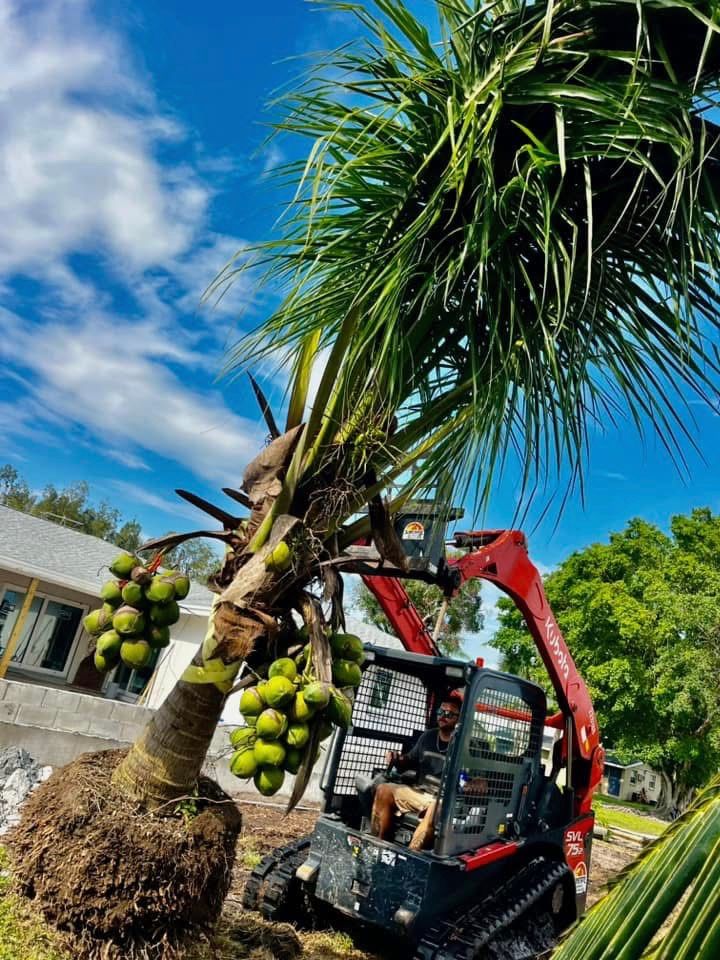 All Photos for Shoreside Property Services in Apollo Beach, FL