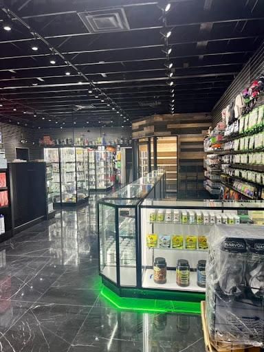 Landscape Design and Installation for Verimay's Garden and Landscaping in Hillsborough County, FL