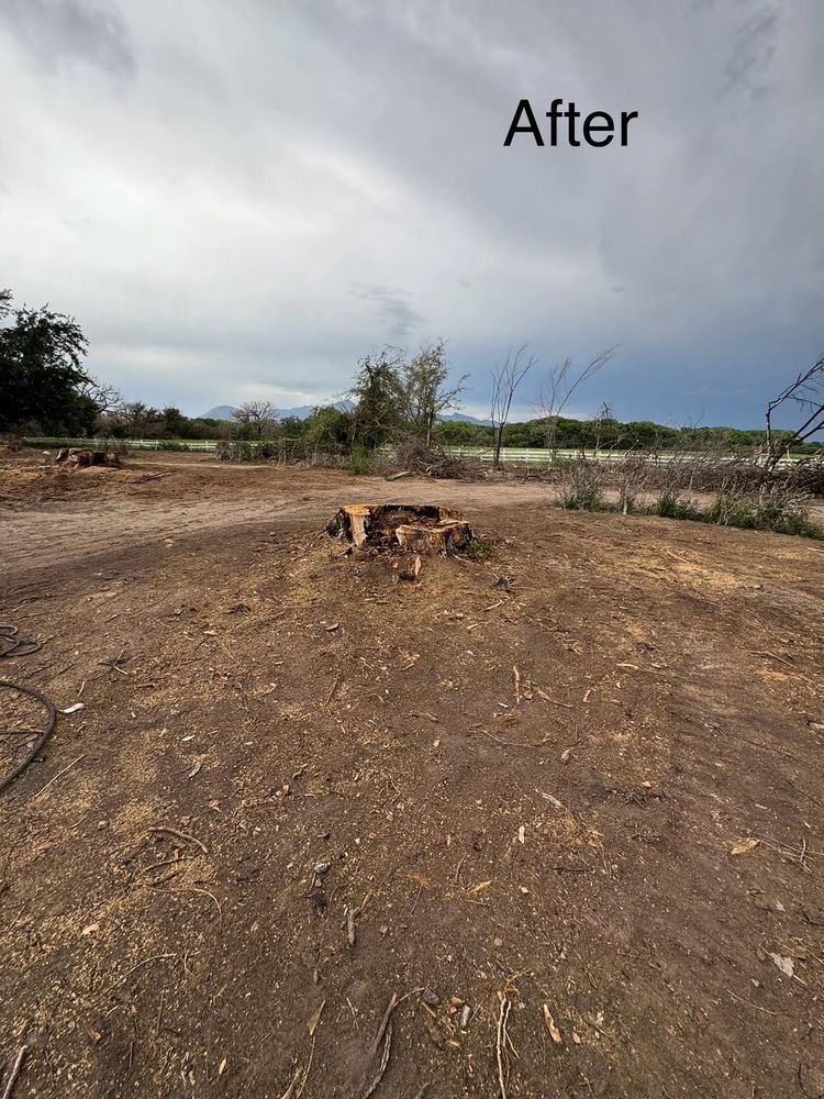 Stump Removal for By Faith Landscaping in Sierra Vista, AZ