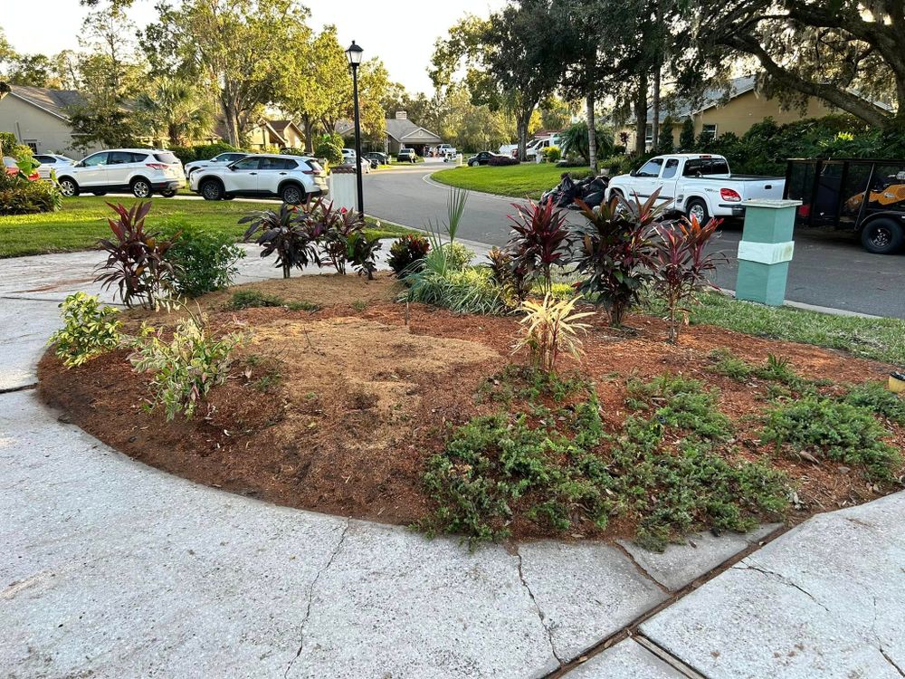 Stump Grinding for Greene Acres Stump Grinding in Plant City, FL