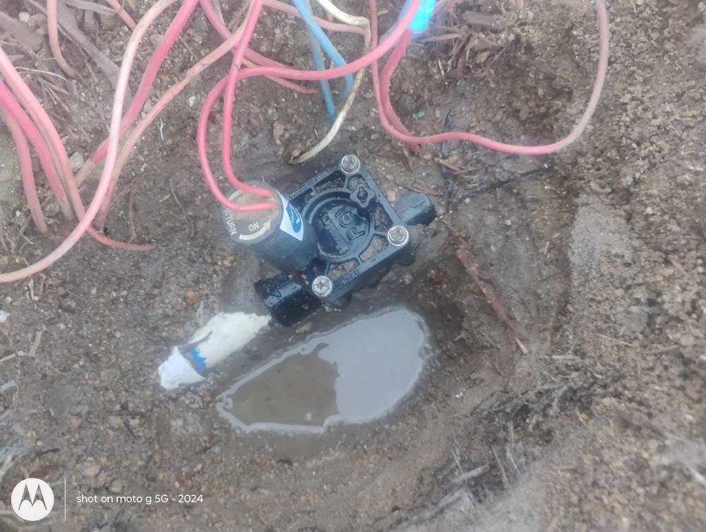 All Photos for Pro Lawn Care RGV in McAllen, TX