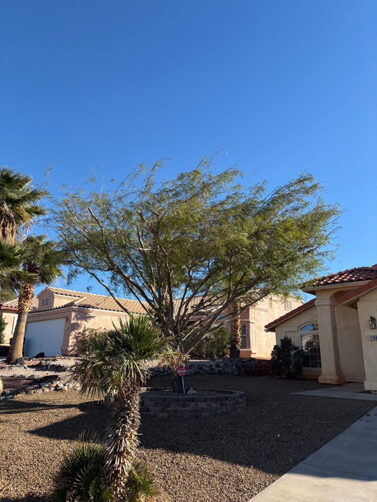 All Photos for Top Notch Landscape Services LLC in Mohave Valley, AZ