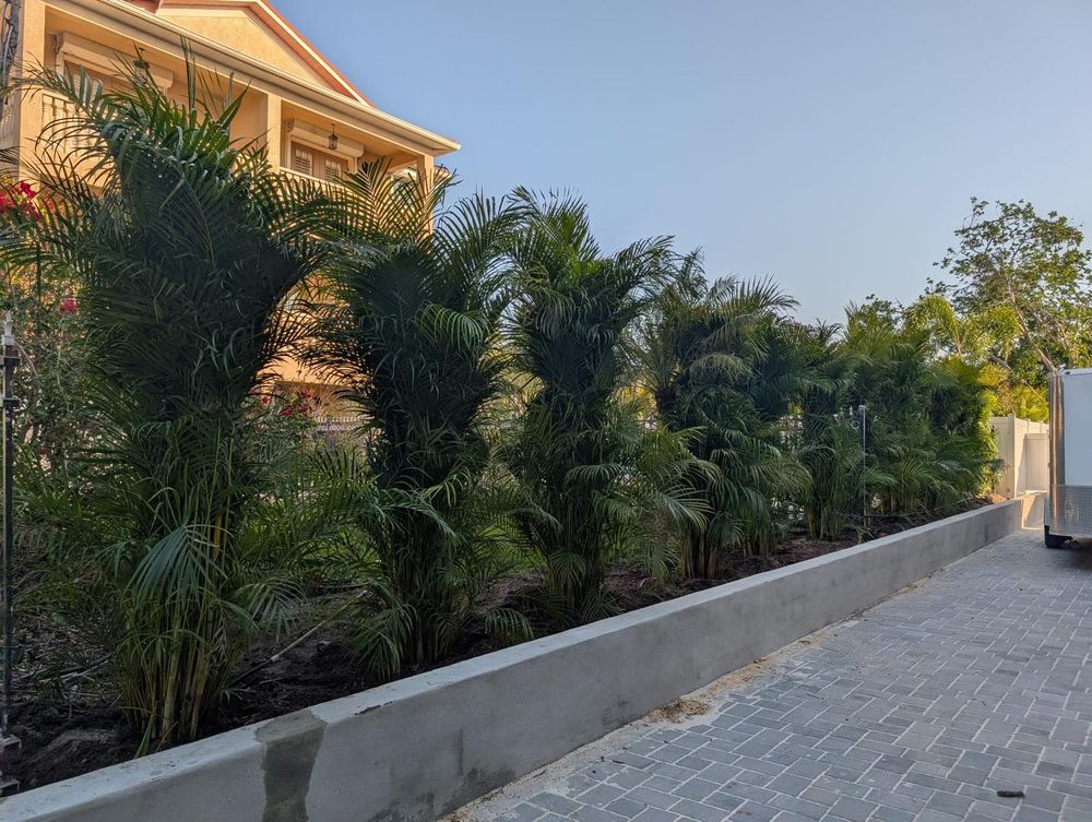 Landscaping for Plant World LLC in Cape Coral, FL
