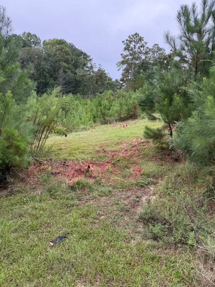 All Photos for SodGods Lawncare and Landscaping in Fayetteville , NC