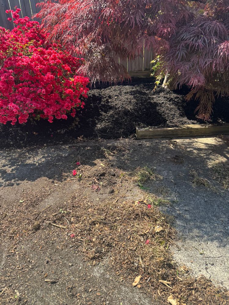 Lawn care and Landscaping for R&M Property Maintenance in White Pine, TN