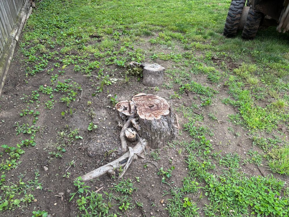 All Photos for Conrad's Stump Removal in Columbus, IN