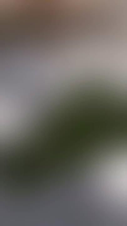 All Photos for Gladiator Construction in St. George, UT