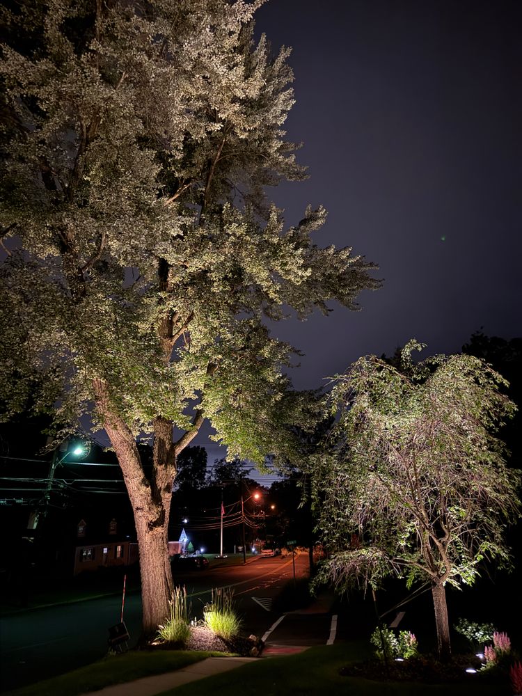 All Photos for Unique Outdoor Lighting in Short Hills, NJ