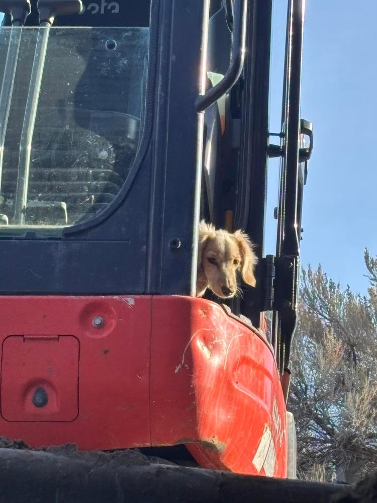 All Photos for Falls Property Services  in Idaho Falls, ID