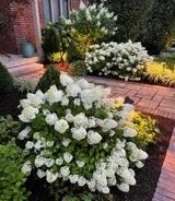 All Photos for HT Outdoor Living in Freeport,  FL