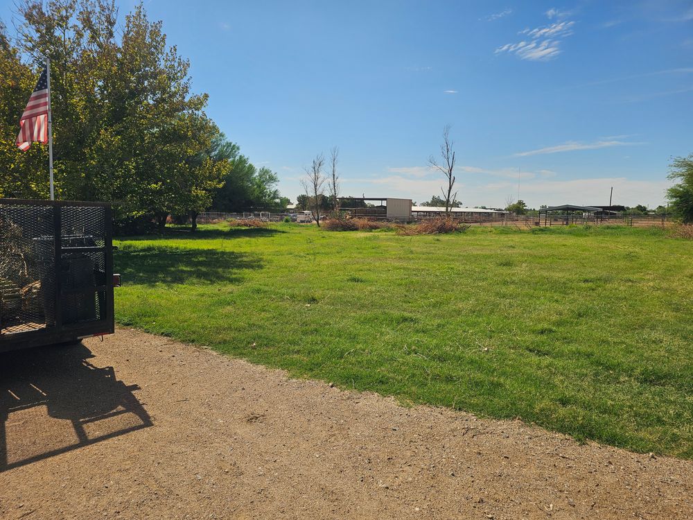 Tree Removal for T's Tree Service and Firewood in Apache Junction, AZ