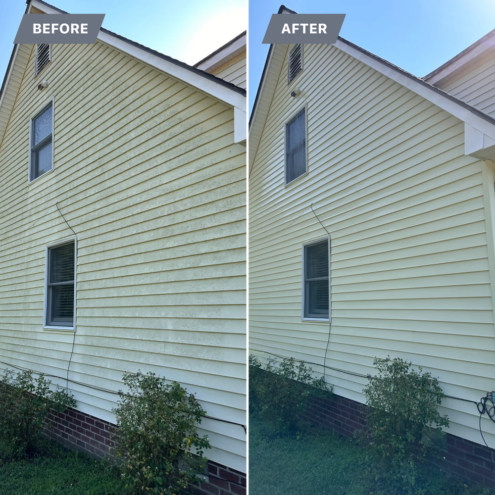 All Photos for LeafTide Solutions in Richmond, VA