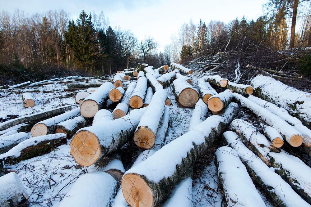 All Photos for  in Northumberland, NH