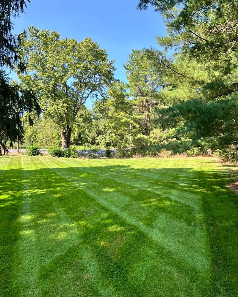 All Photos for Conoy Acres Lawn Service in Elizabethtown, PA