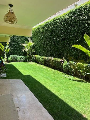 All Photos for Nunez Concrete & Landscape LLC in Tampa Heights, FL