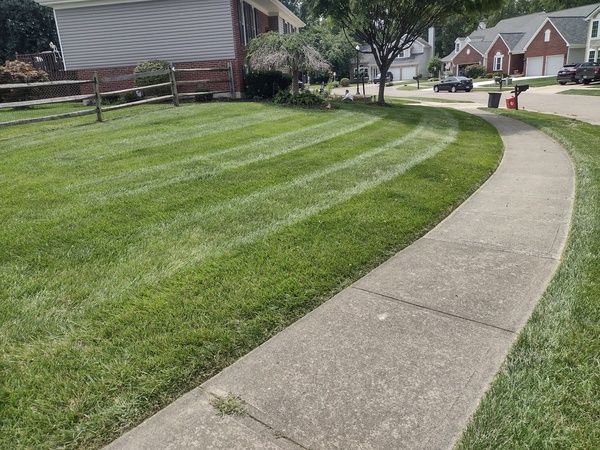 Lawn Care for Green Shoes Lawn & Landscape in Cincinnati, OH