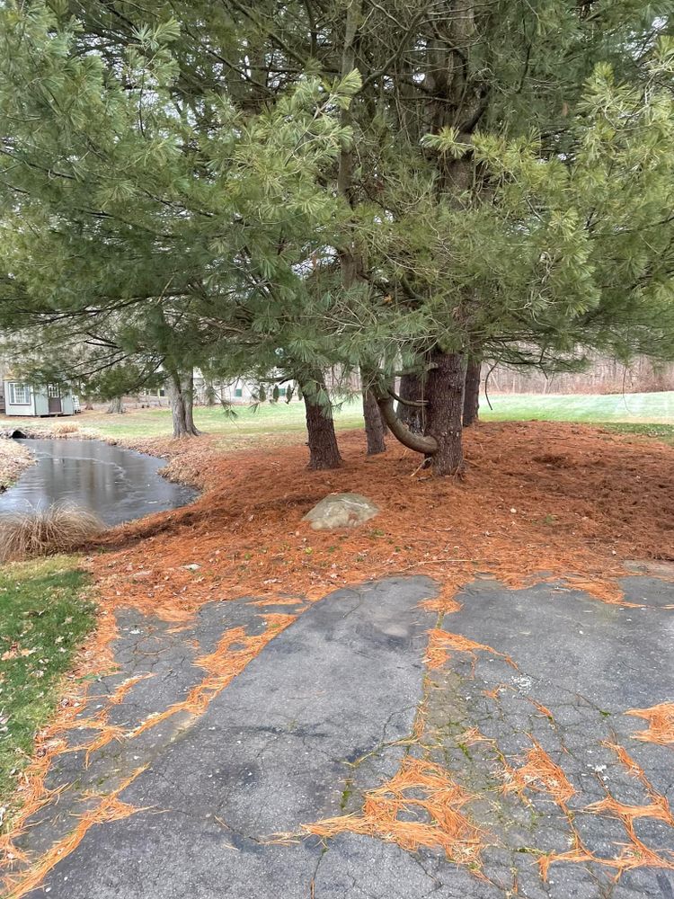 Full Landscape Redesign for Blades of Glory LLC in Cheshire, CT