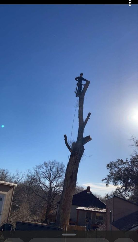 Tree Removal for SMH Tree Service in Atwood, KS