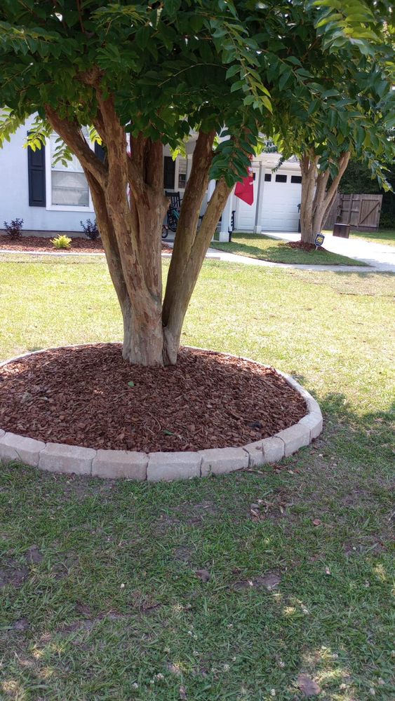 Landscaping for George’s Hardscape  in Bluffton, SC