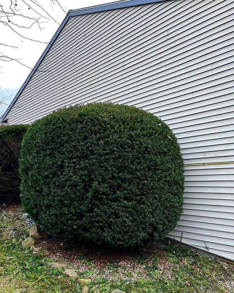 All Photos for Conoy Acres Lawn Service in Elizabethtown, PA