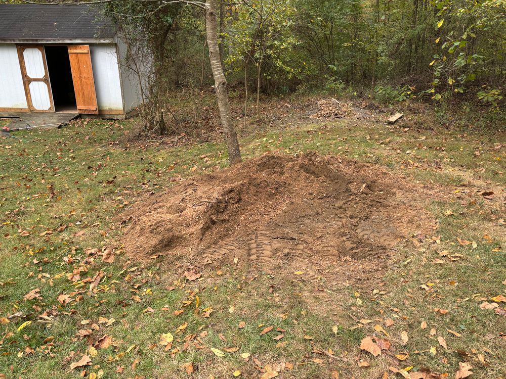 All Photos for Conrad's Stump Removal in Columbus, IN