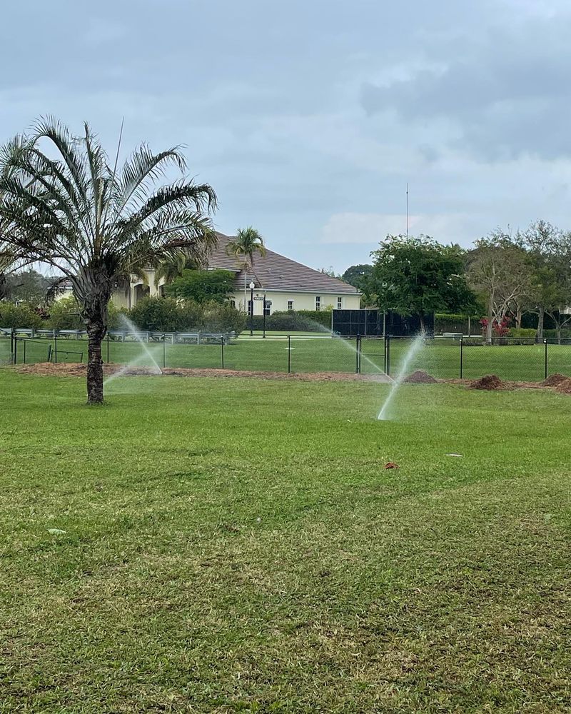 Irrigation for Perrone Irrigation in Coral Springs City Center, FL