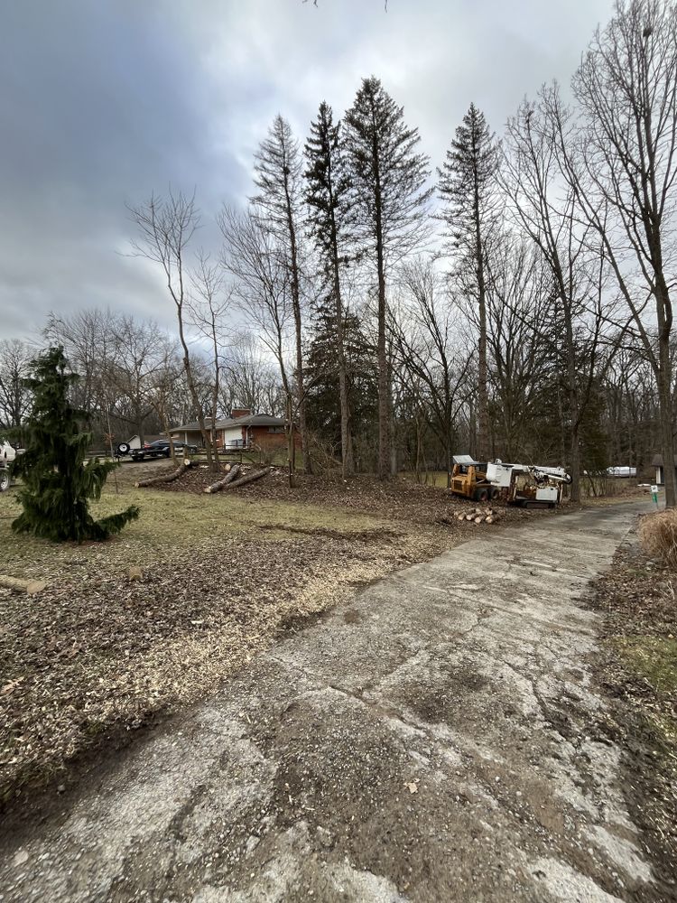 All Photos for D Hale Tree Service in Ann Arbor, MI