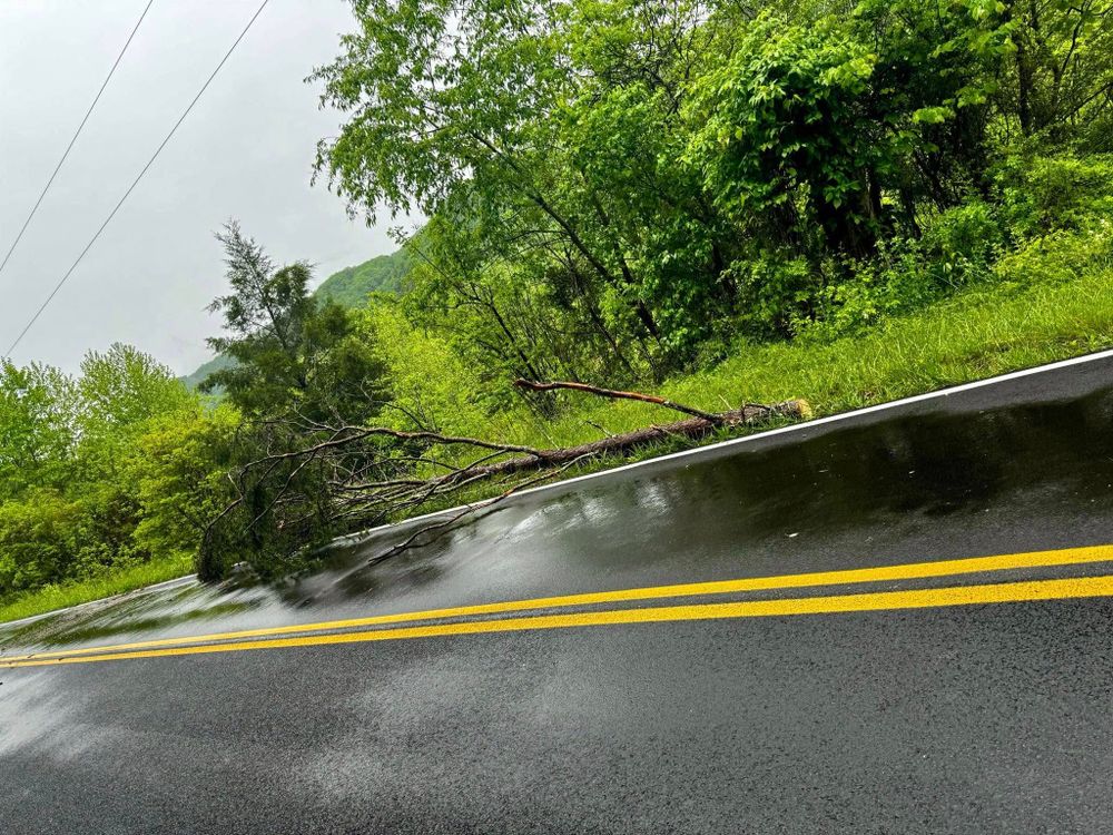 All Photos for Brocks Tree Service LLC in Rogersville, TN