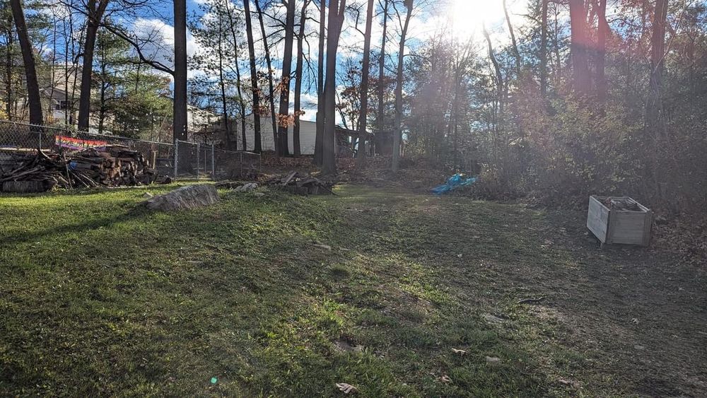 FALL CLEAN-UPS for Bryant Property Solutions in Altoona, PA