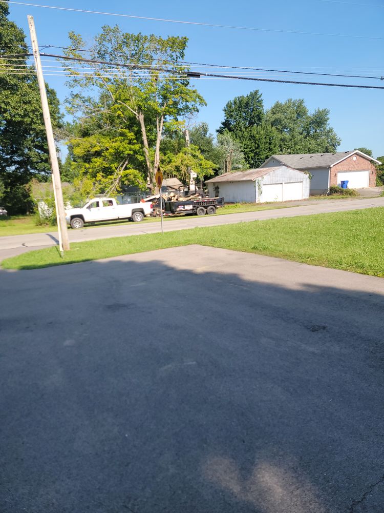 All Photos for Lightning Tree Service in Corydon, IN